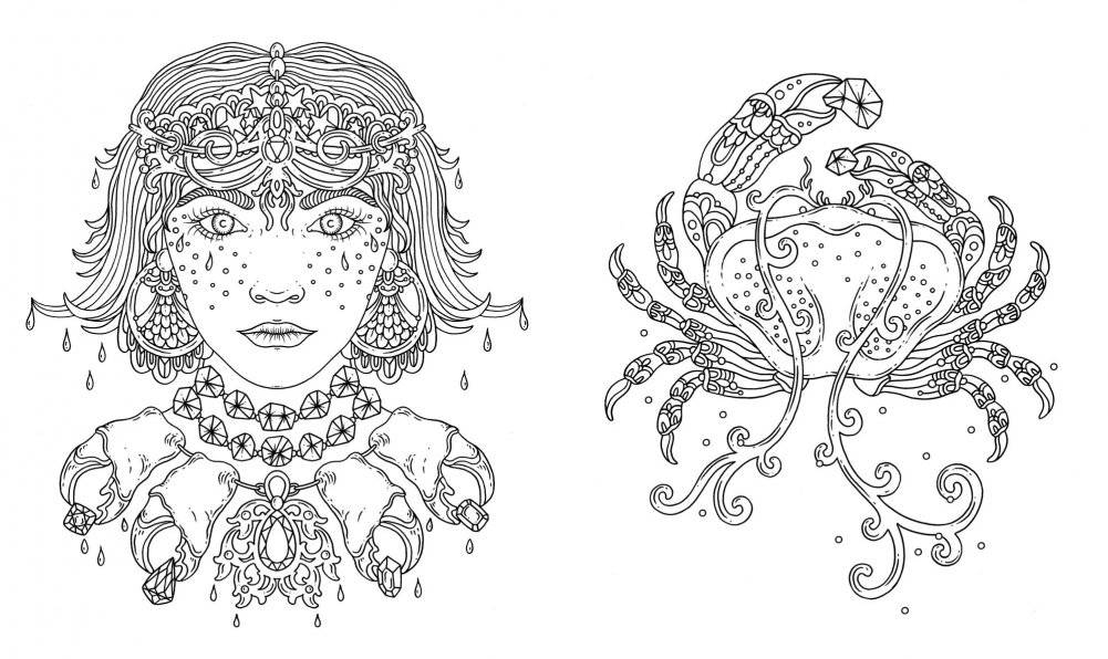 Тотемные животные. Книга для творчества и вдохновения фото книги 4