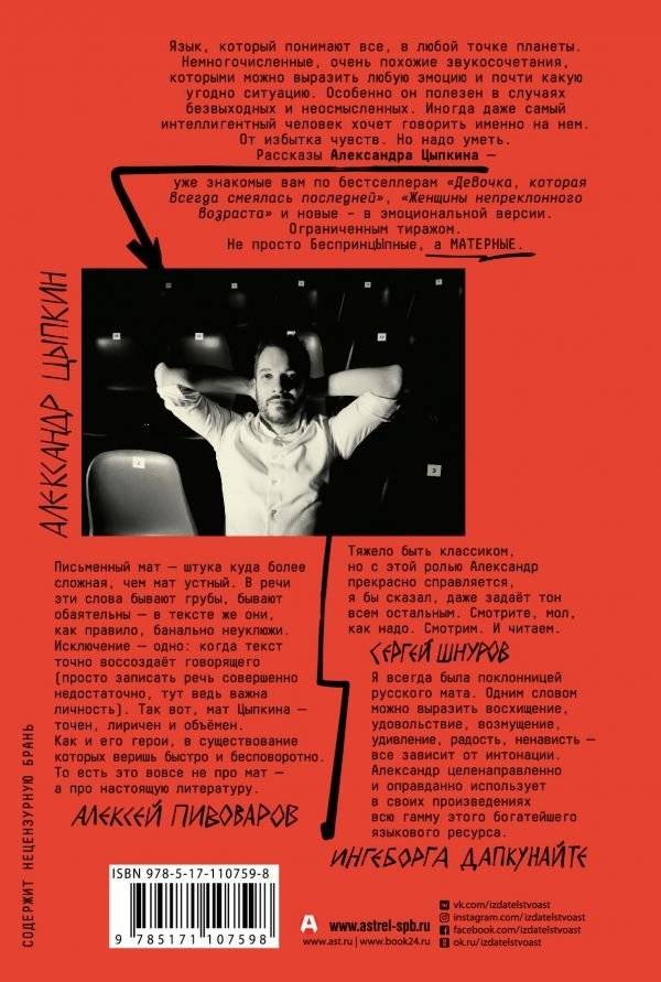 БеспринцЫпное матерное, или Трагическое недоразумение фото книги 2