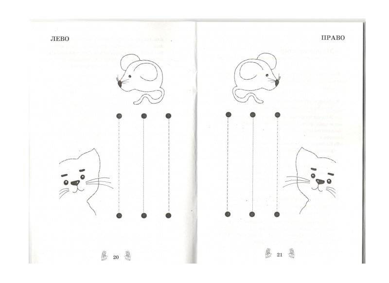 Развитие межполушарного взаимодействия у детей фото книги 5