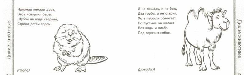 Загадки о животных фото книги 2