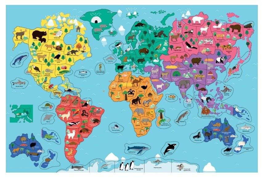 Животные планеты. Интерактивная детская энциклопедия с магнитами фото книги 2