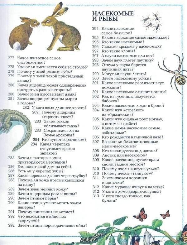Большая детская энциклопедия фото книги 8