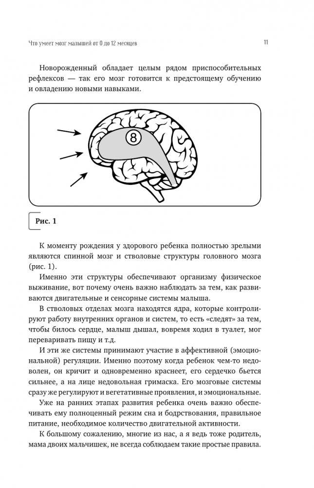 Нейропсихология детей от рождения до 10 лет. Развитие мозга и полезные игры фото книги 12