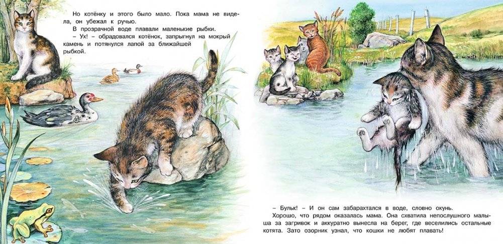 Приключения котенка фото книги 4