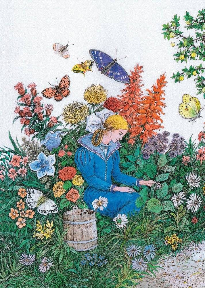 Безыменная кветка. Казкі фото книги 11