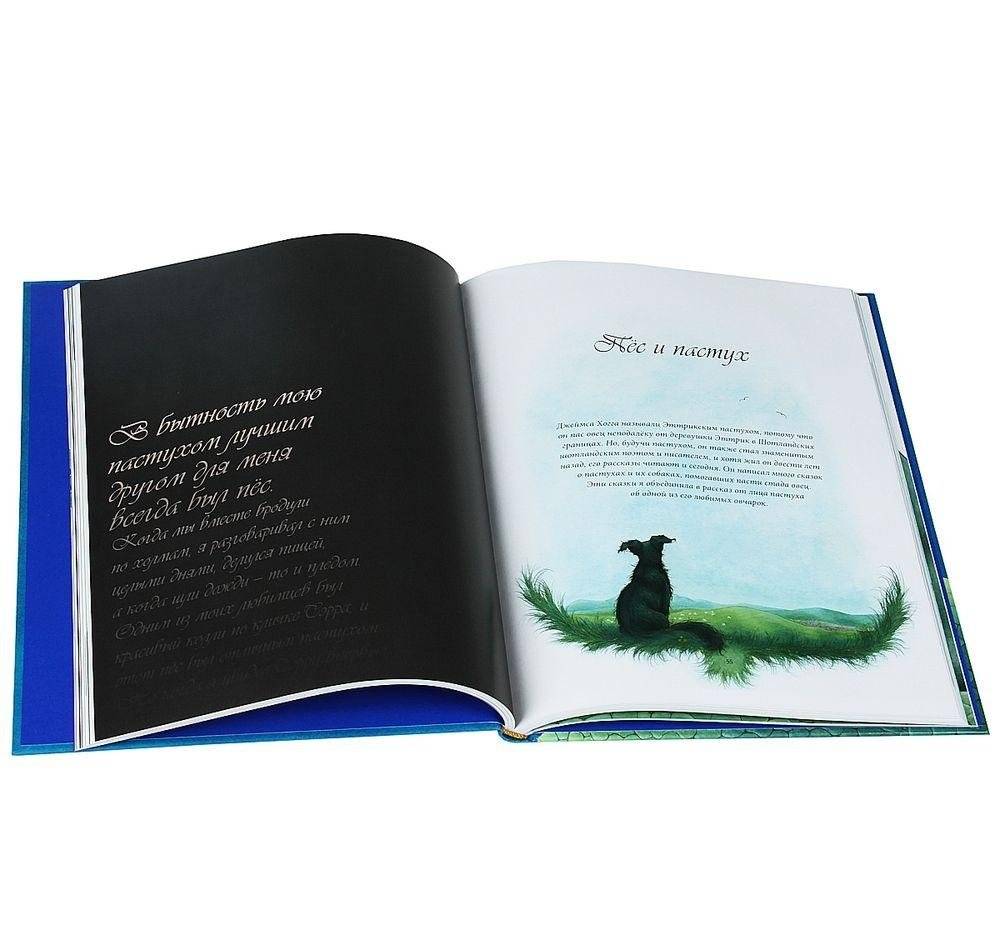 Сказки и легенды Шотландии фото книги 11