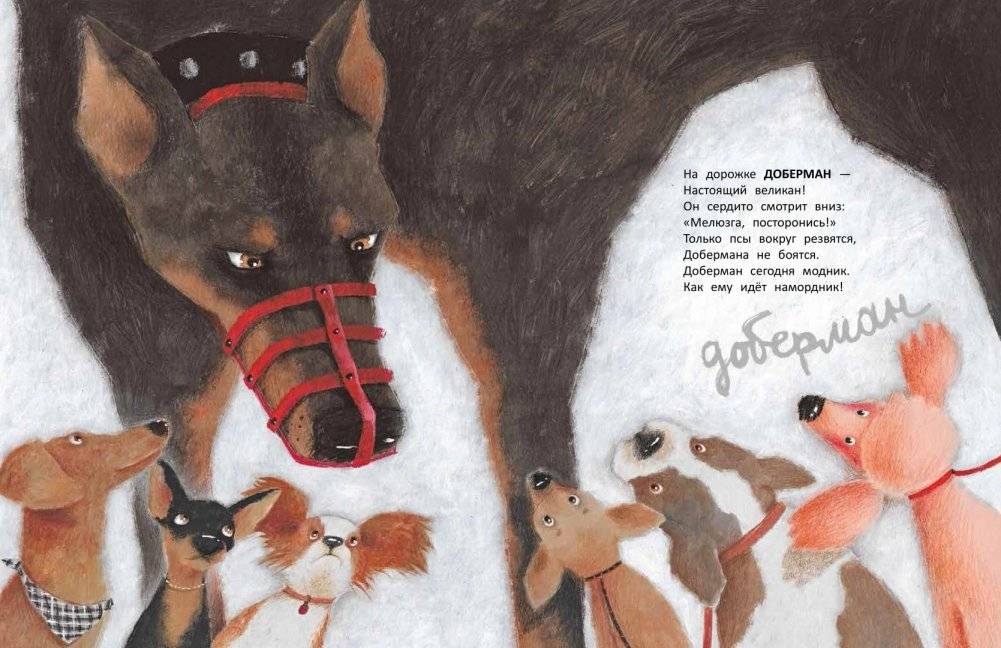 Вышел пудель погулять фото книги 7