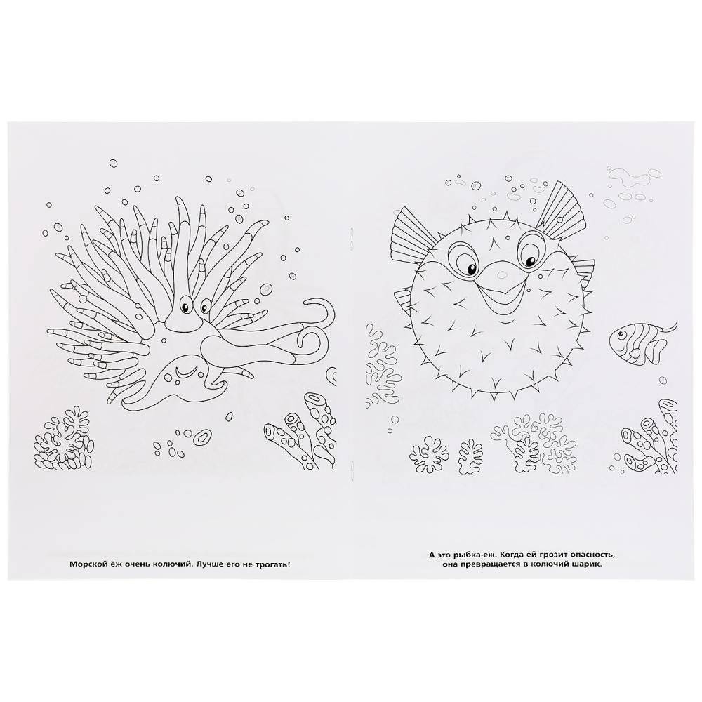 Морские животные фото книги 5
