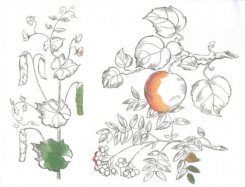 Альбом для раскрашивания. Угадай, нарисуй, раскрась фото книги 7