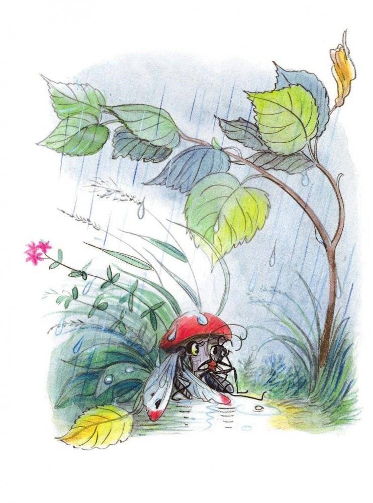 Книга сказок В. Сутеева фото книги 9