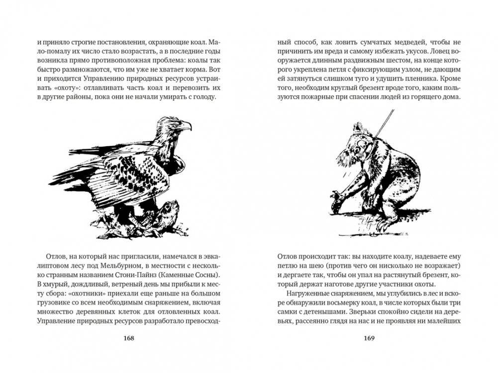 Путь кенгуренка. Поймайте мне колобуса фото книги 4