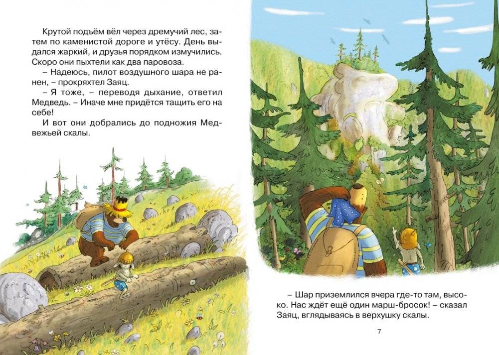 Аварийная посадка фото книги 4