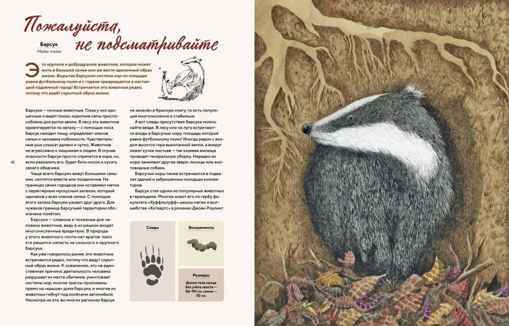 Наши соседи по планете. Рассказы о диких животных фото книги 5