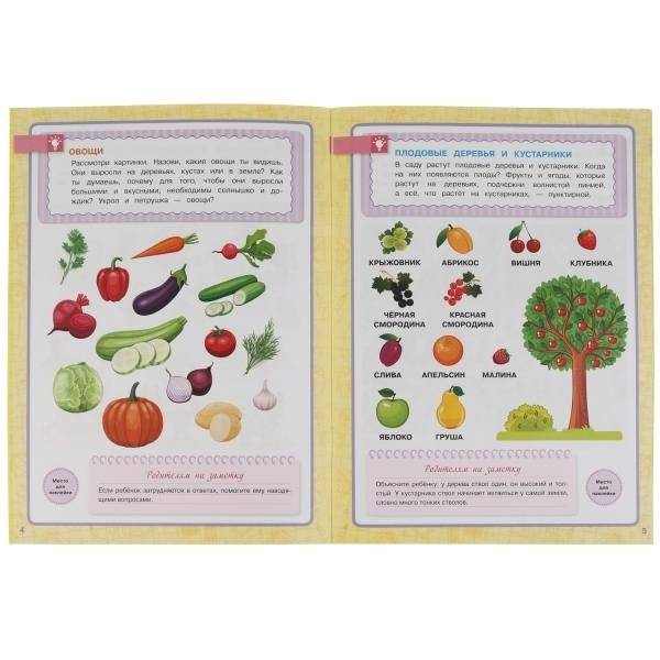 Окружающий мир. Школа Жуковой. Годовой курс фото книги 3