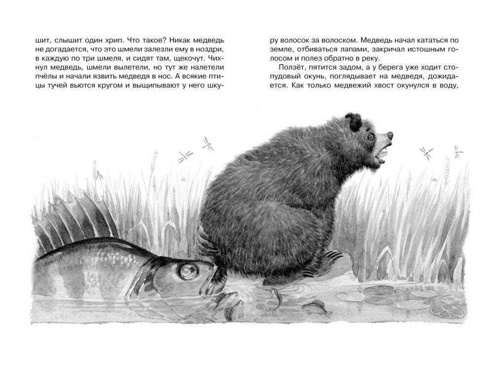 Кот-ворюга. Рассказы и сказки фото книги 4