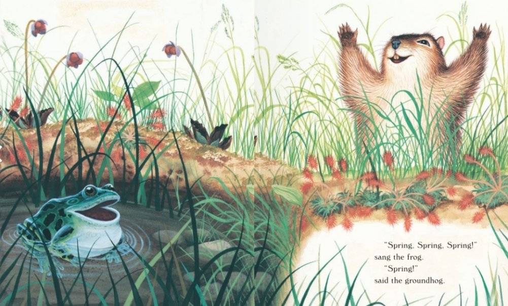 Home for a Bunny фото книги 2