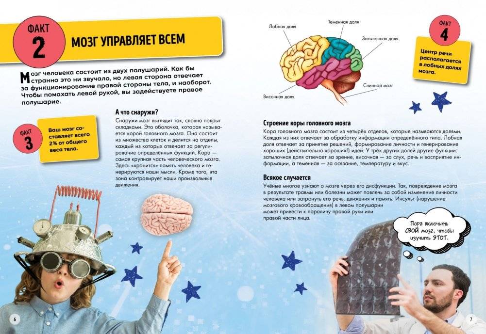 Всё о теле человека фото книги 3