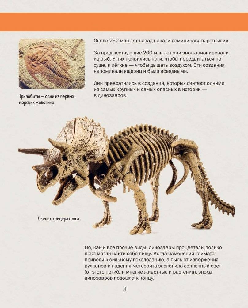 История жизни на Земле. От бактерии до человека фото книги 8