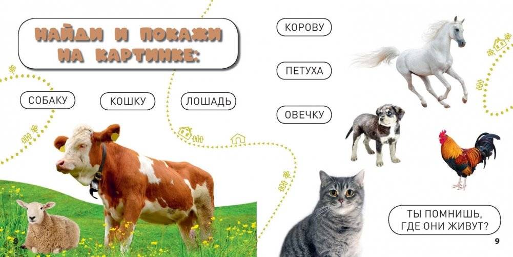 Кто где живёт? фото книги 4