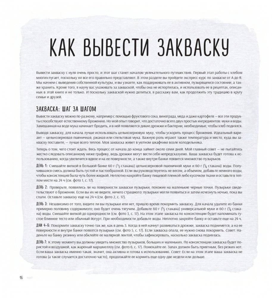 Ремесленный хлеб на закваске. Изумительная домашняя выпечка почти без замеса фото книги 13