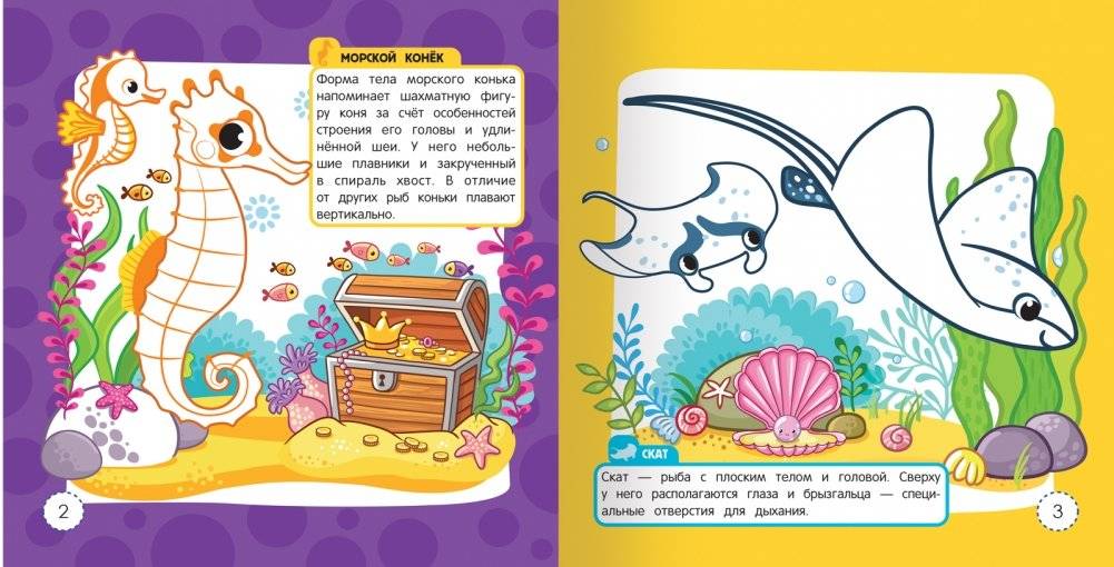Животные морей и океанов. Раскраска-энциклопедия (более 10 животных) фото книги 2