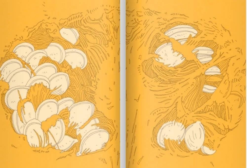 14 лесных мышей. Тыква фото книги 2