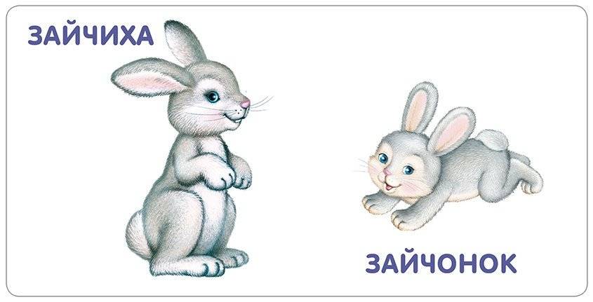 Книжки - картонки. Животные и детёныши фото книги 4