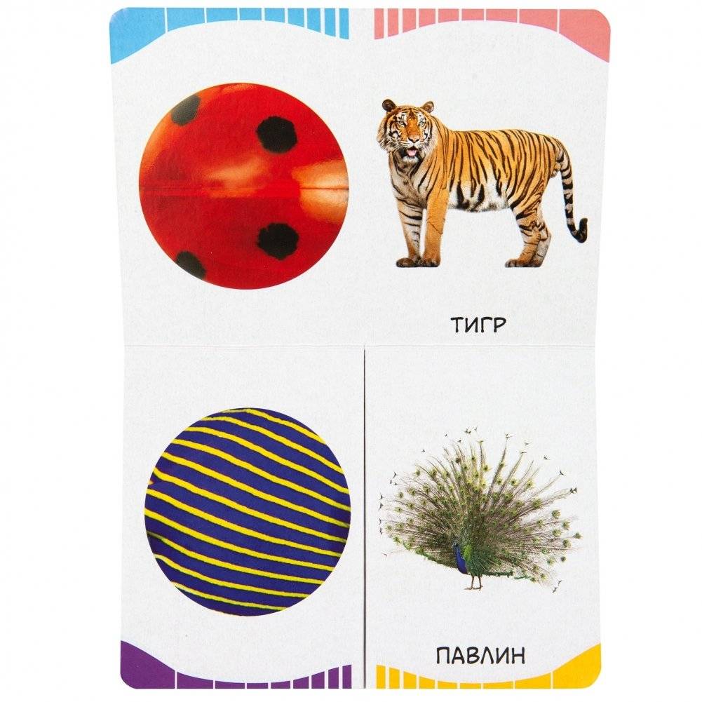 Пятнышки-полоски фото книги 2