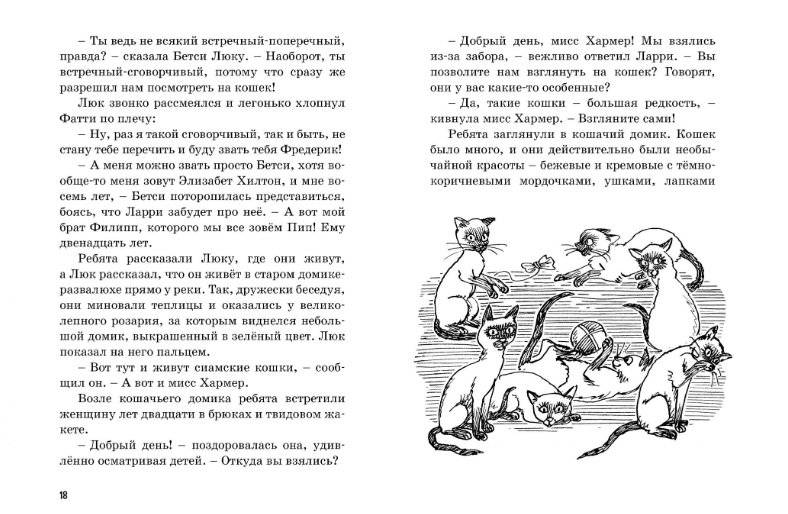 Тайна пропавшей кошки фото книги 4