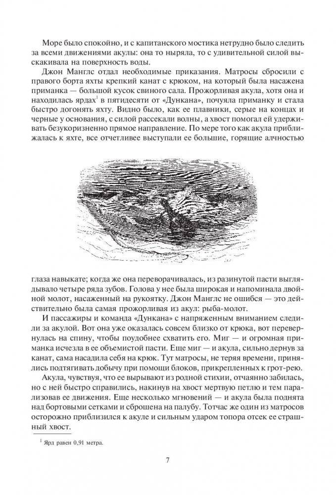 Дети капитана Гранта фото книги 8