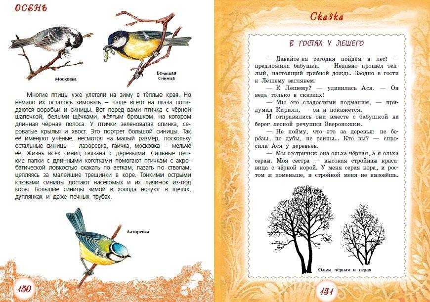 Круглый год фото книги 5