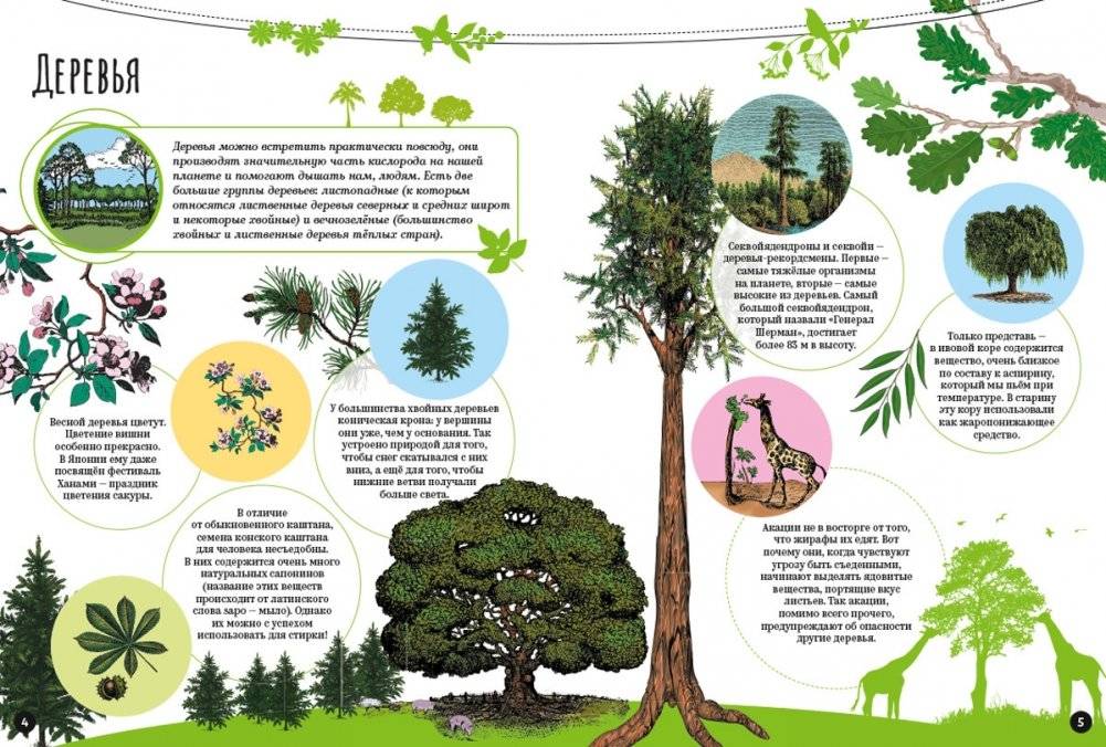 Чудеса природы фото книги 3