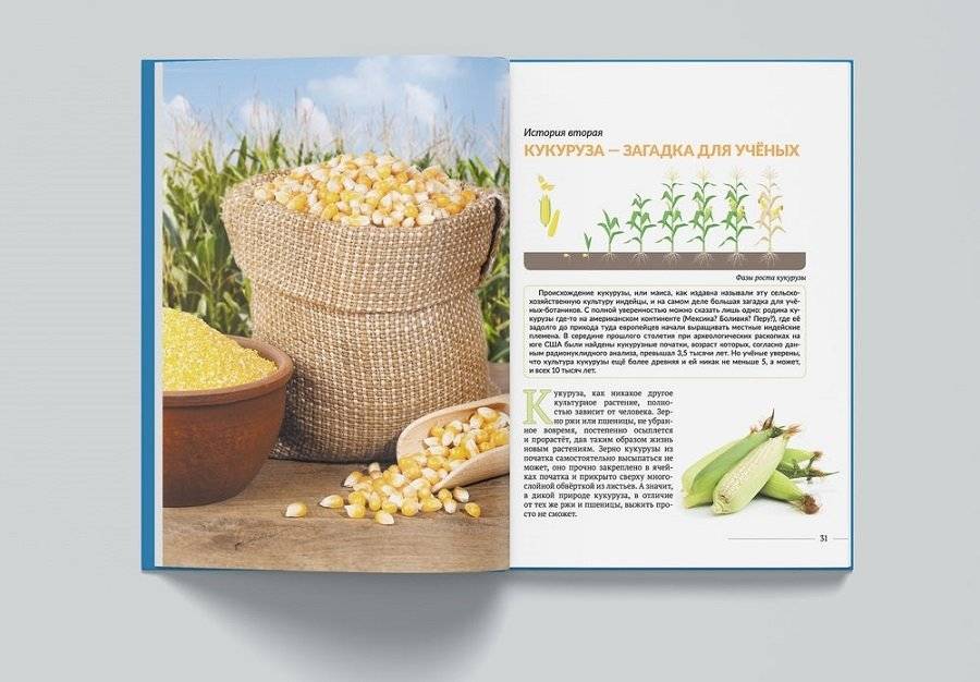 Растения, которые нас приручили. Зерновые и зернобобовые сельско-хозяйственные культуры фото книги 2