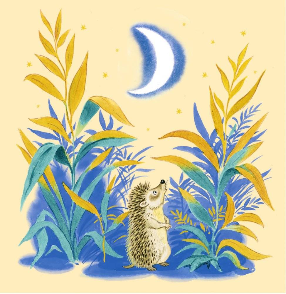 Тихая сказка фото книги 2