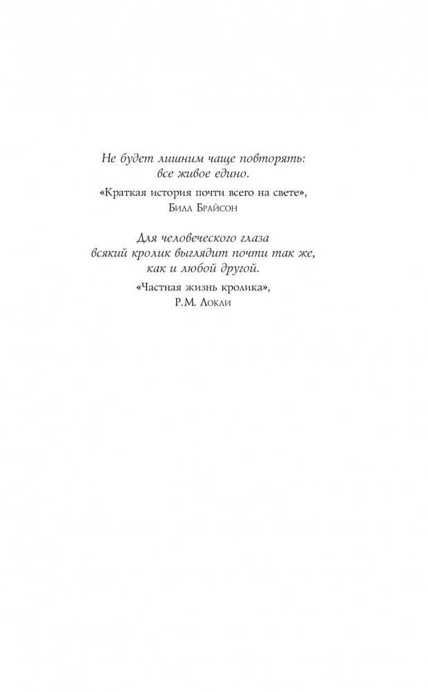 Вечный кролик фото книги 2