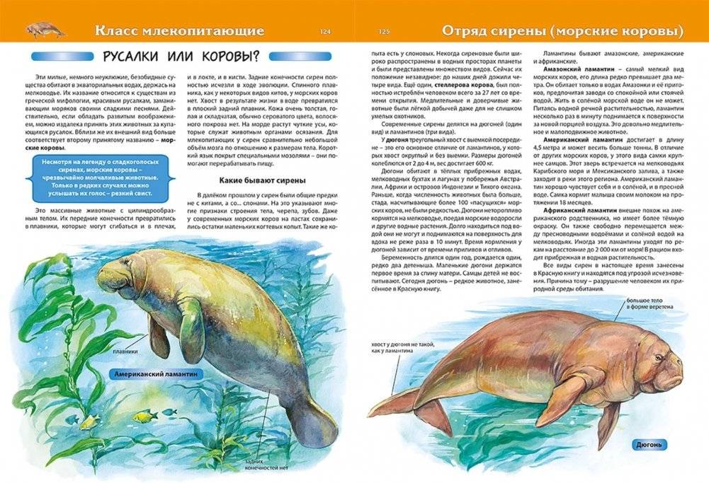 Животные. Большая детская энциклопедия фото книги 4