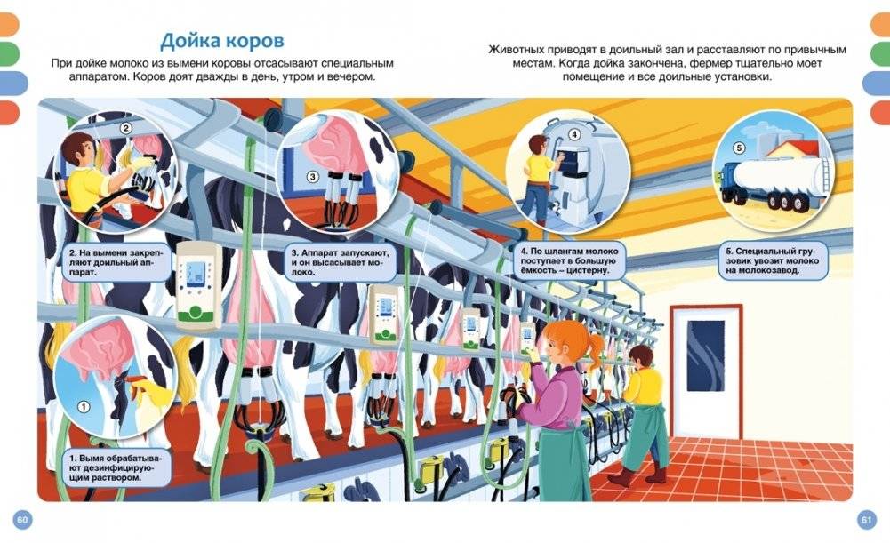 Полезные машины и животные фермы фото книги 6
