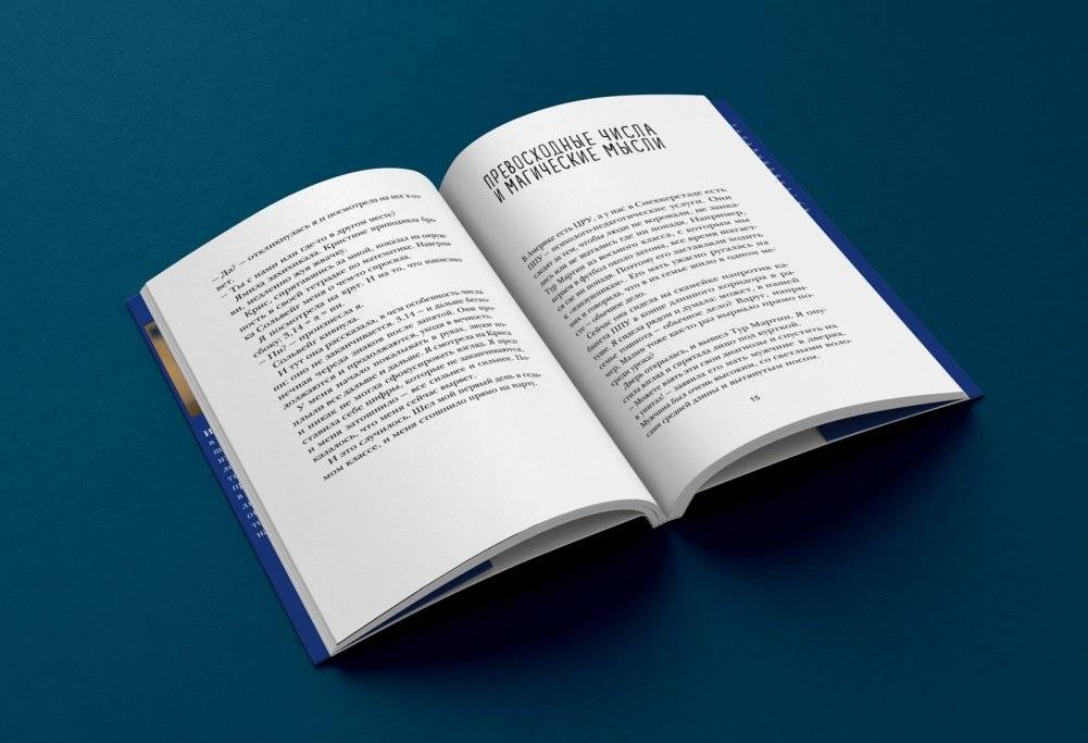 Непростые числа фото книги 3