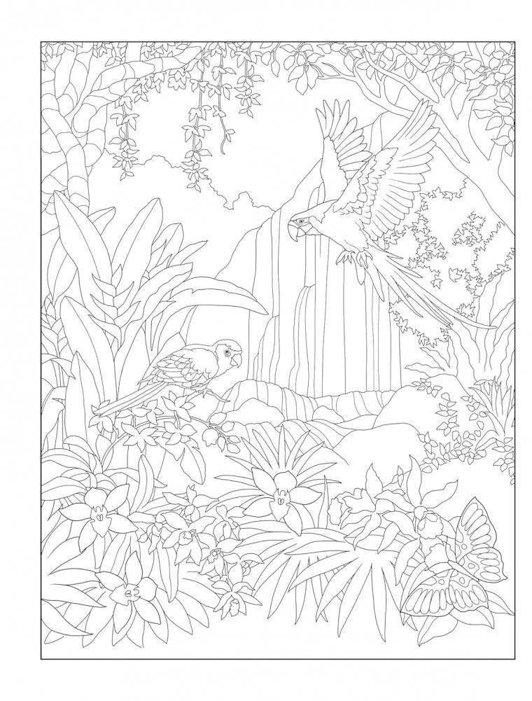 Creative Haven Tropical Wonders Coloring Book фото книги 4