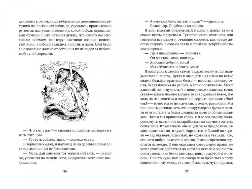 Гончие Бафута. Зоопарк в моем багаже фото книги 2