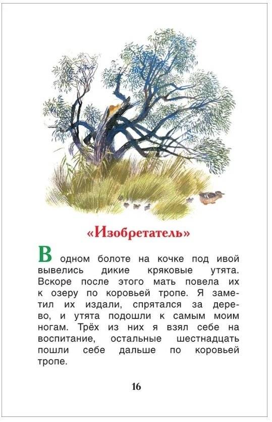 Рассказы о природе фото книги 4