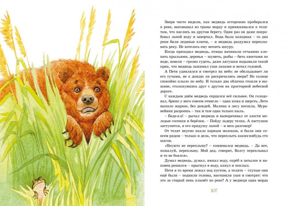 Растрёпанный воробей фото книги 4