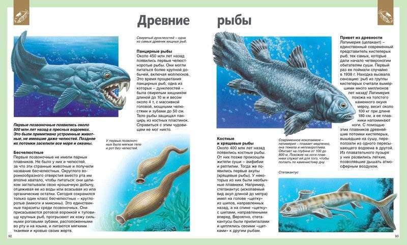 Универсальная школьная энциклопедия фото книги 3