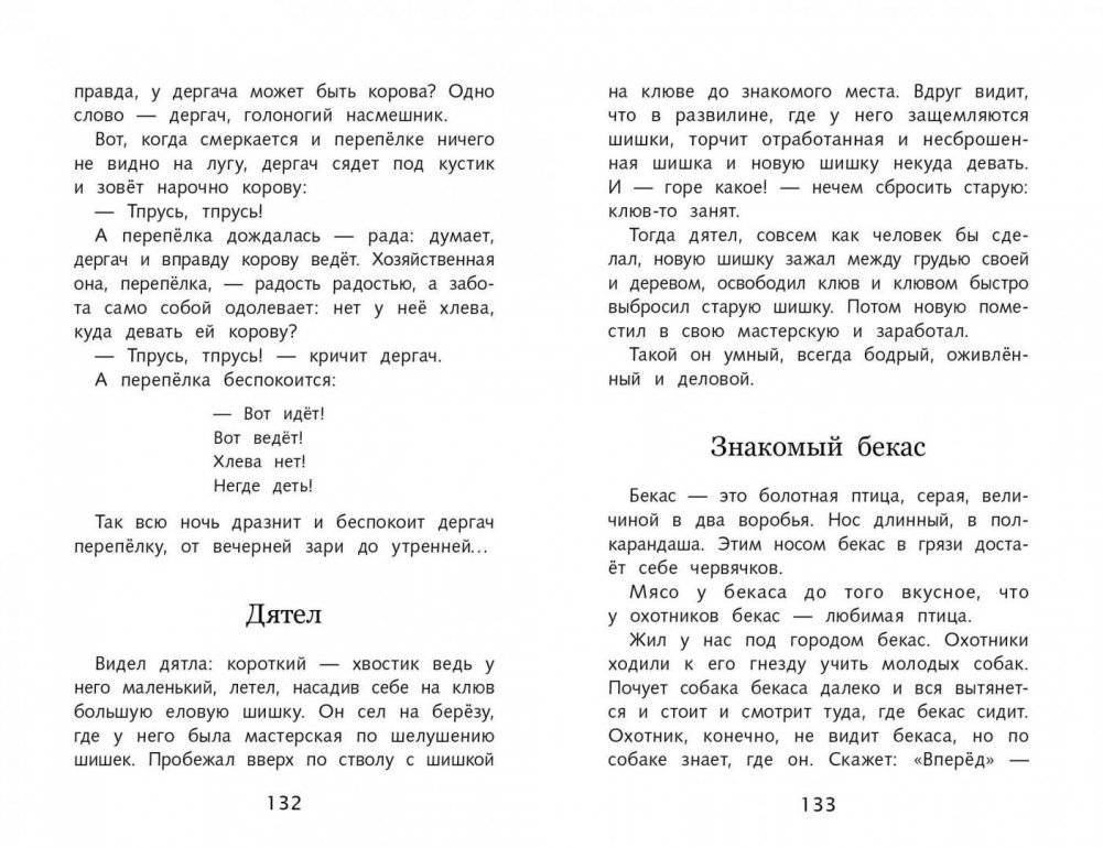 Кладовая солнца фото книги 4