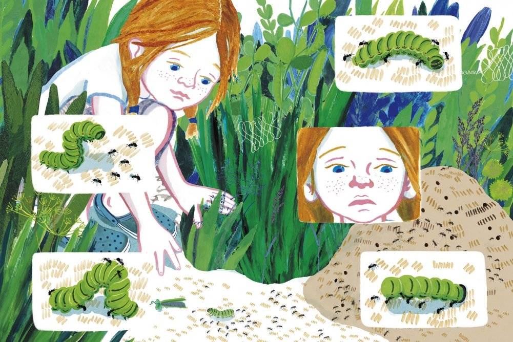 Кузнечик фото книги 6