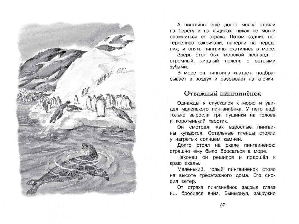 Беспокойный хвостик фото книги 3