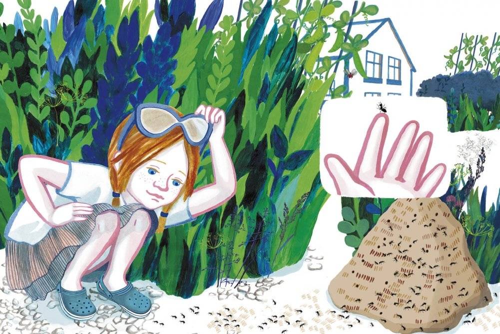 Кузнечик фото книги 7