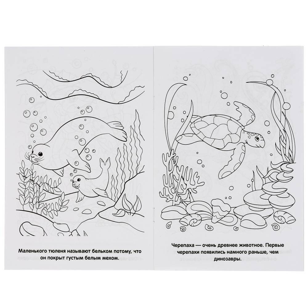 Обитатели морей фото книги 4