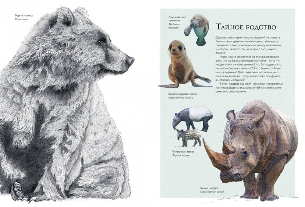 Тайны дикой природы фото книги 4