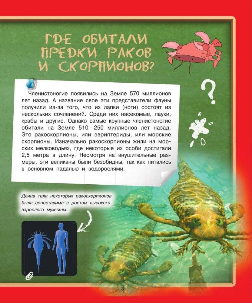 Детская энциклопедия в вопросах и ответах. Где? Когда? Как? фото книги 6